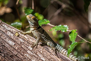 Aventura en el gran sur de Madagascar