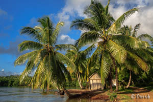 Paisaje tropical de la isla Sainte-Marie en Madagascar