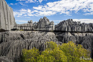 El parque nacional de Bemaraha en Madagascar