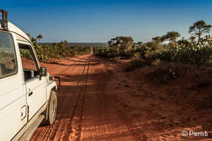 Aventura en el gran sur de Madagascar